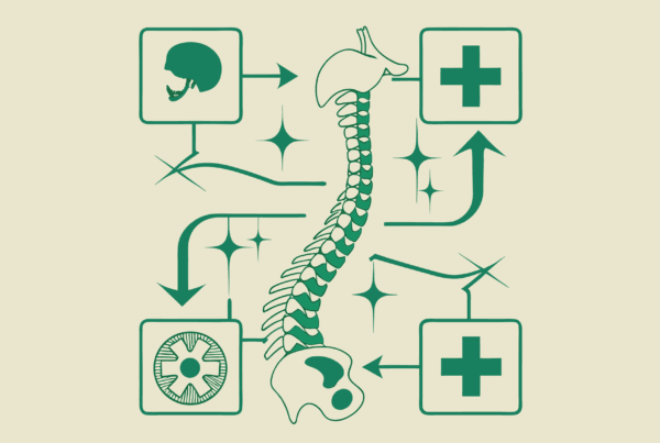Stylized illustration representing orthopedic practice mergers and acquisitions with interconnected bone and spine imagery - SovDoc healthcare M&A advisors specializing in orthopedic and post-surgical rehabilitation practice transitions