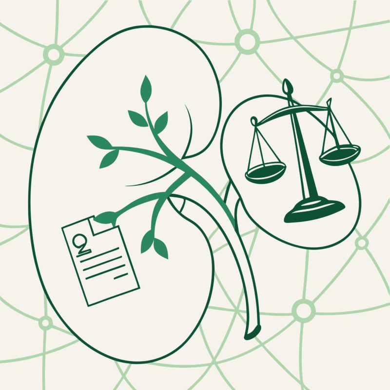 SovDoc healthcare M&A illustration showing kidney symbol connected to legal contract elements, representing compliance considerations in nephrology practice mergers and acquisitions.