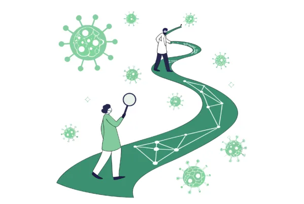 Illustration of a kidney-shaped path leading to an interconnected network, representing nephrology practice mergers and acquisitions guidance by SovDoc healthcare M&A advisors.