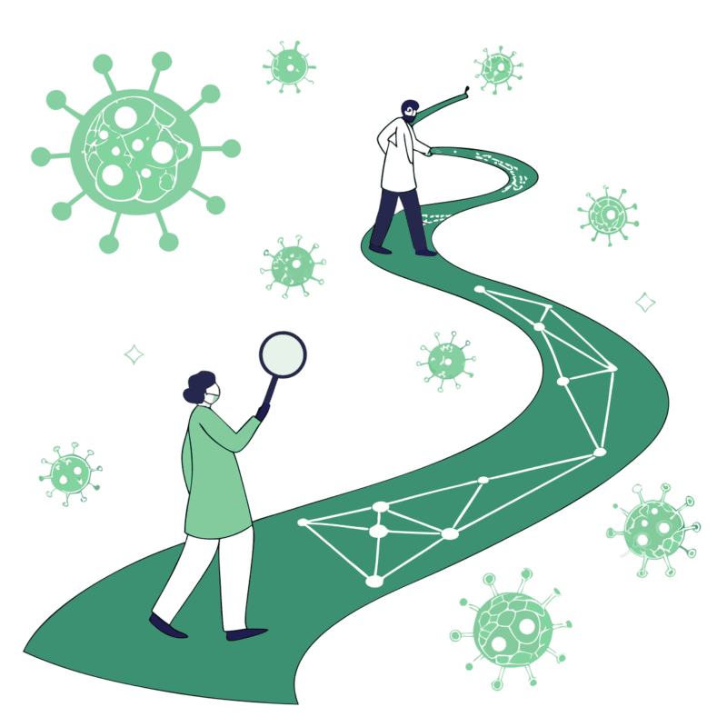 Illustration of a kidney-shaped path leading to an interconnected network, representing nephrology practice mergers and acquisitions guidance by SovDoc healthcare M&A advisors.