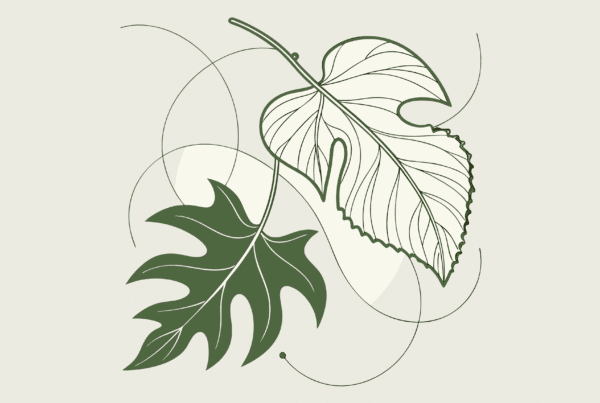 Abstract representation of clinic-based ABA therapy mergers and acquisitions, showing green and off-white forms merging to symbolize successful practice integration. SovDoc healthcare M&A advisory services for behavioral health practice transitions.